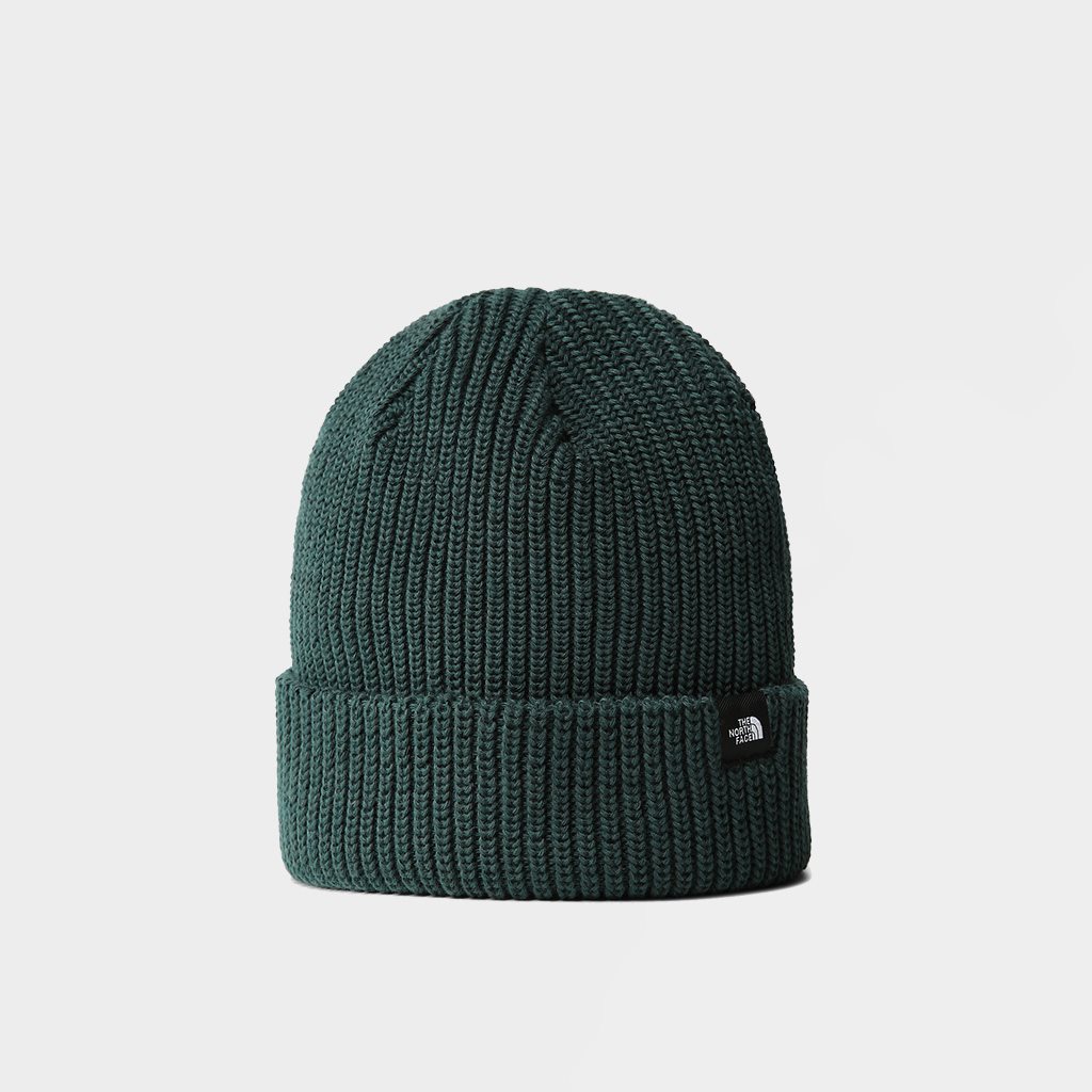 The North Face TNF Fisherman Beanie Green (NF0A55JGE80)